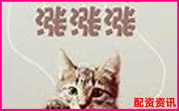 线上股票配资开户指南新手必看操作流程详解 线上股票配资开户指南新手必看操作流程详解